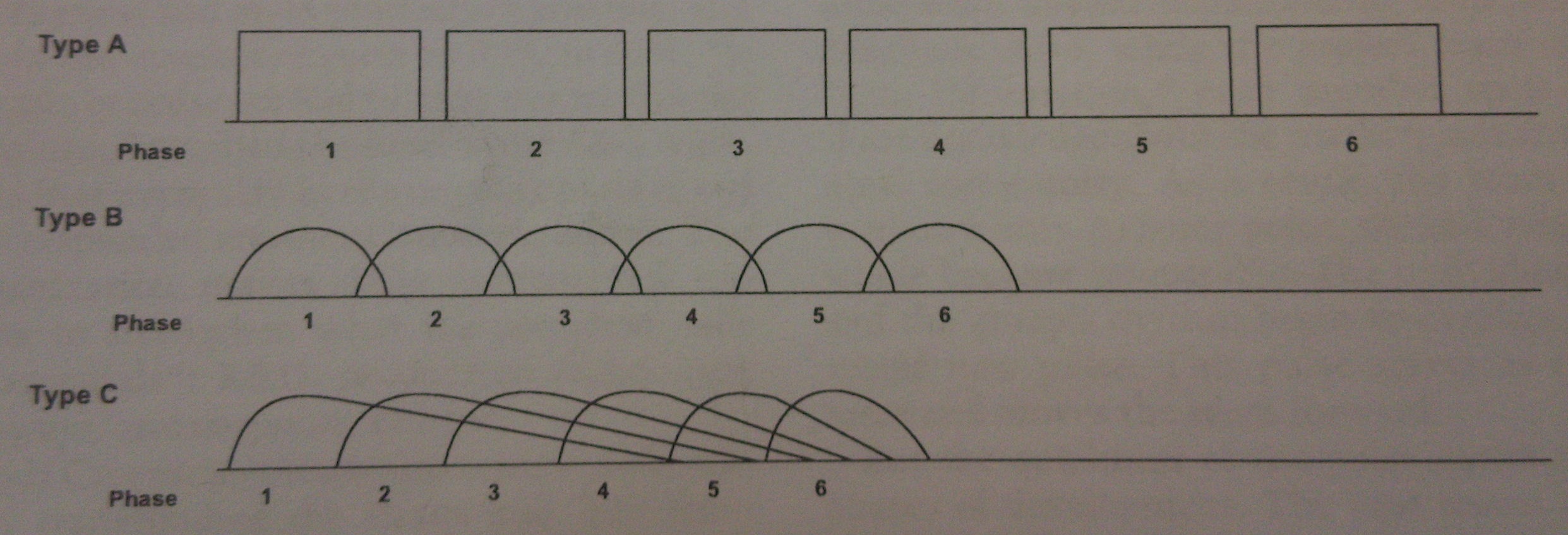 Phase Types