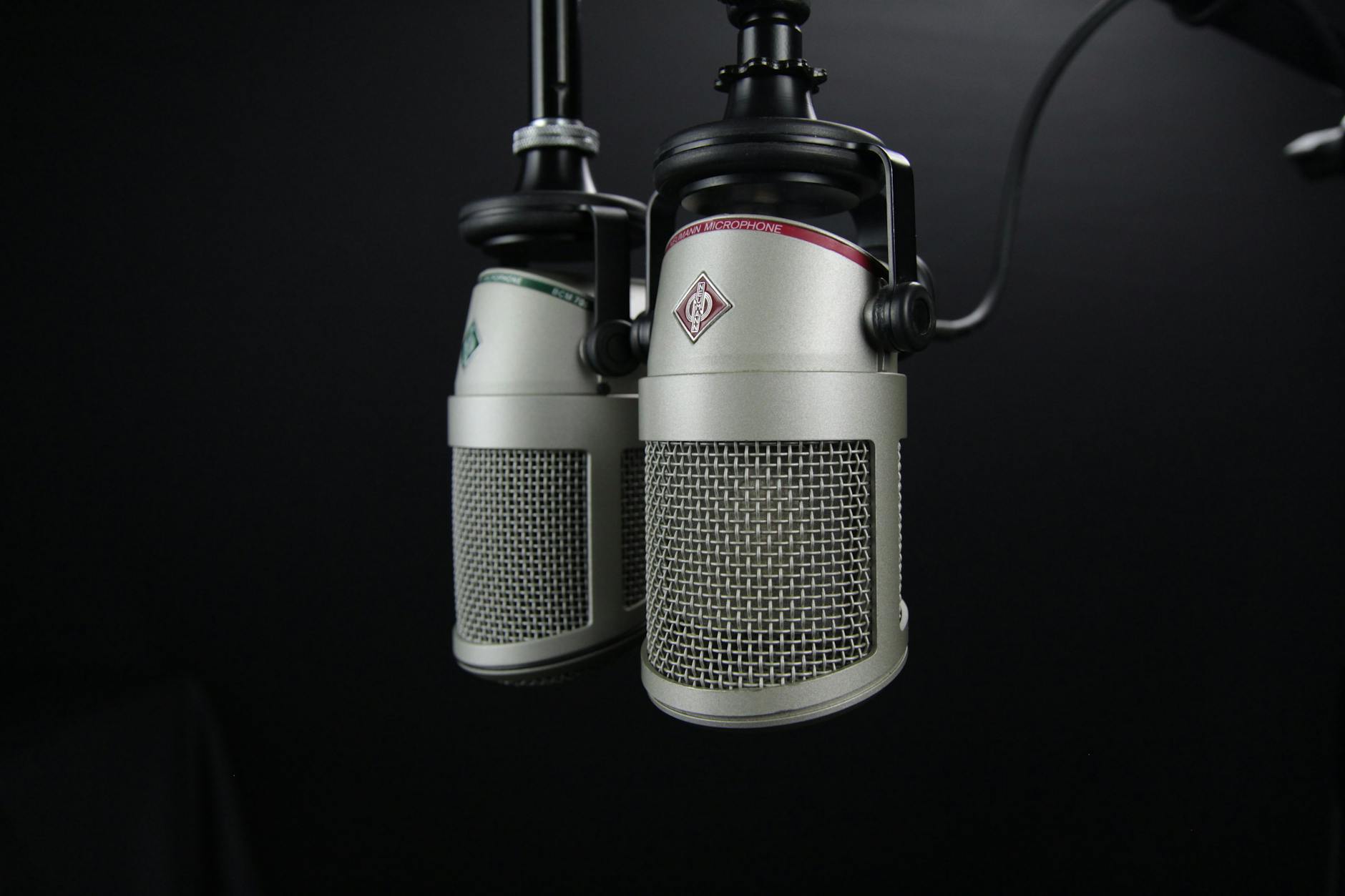 two gray condenser microphones