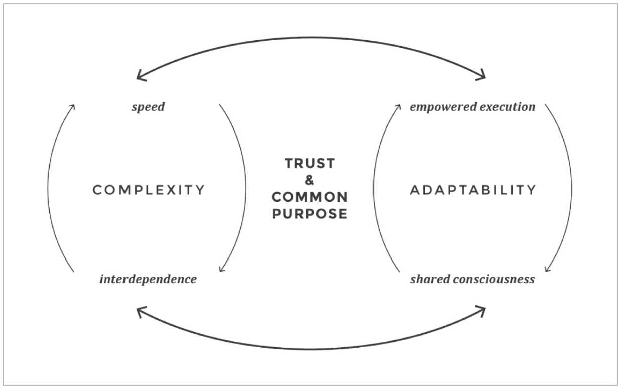 strategy-deployment-and-team-of-teams-availagility