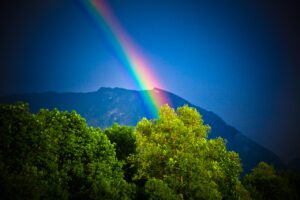 The end of a rainbow disappearing behind some trees, representing the aspirations which guide towards realising value.