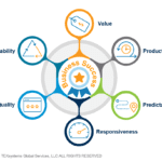 The Evidence To Look For In A Successful Agile Transformation