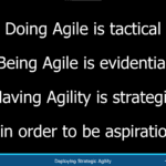 The Provocative Pluralism of Strategic Agility