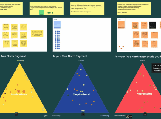 Miro screenshot from the True North Workshop