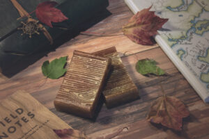 SOAP Notes. Two bars of soap, next to a book of field notes and a map, surrounded by a few leaves